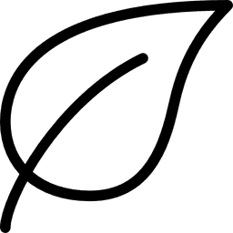 Eco-Friendly Safaris